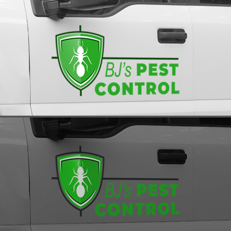 Vehicle Reflective Vinyl